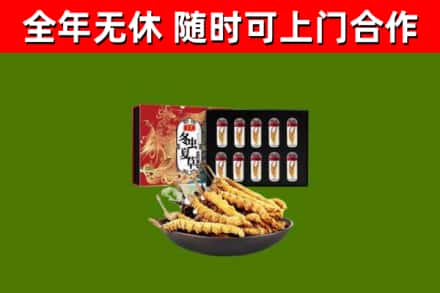 密云区回收冬虫夏草价格